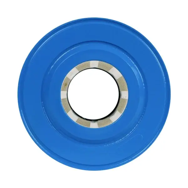 Hayward CX-250 u.a (4100145) - Nahaufnahme